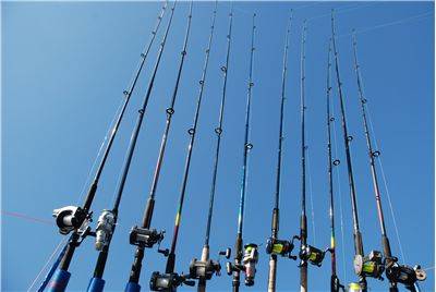 Best Fishing Rod Variety Online